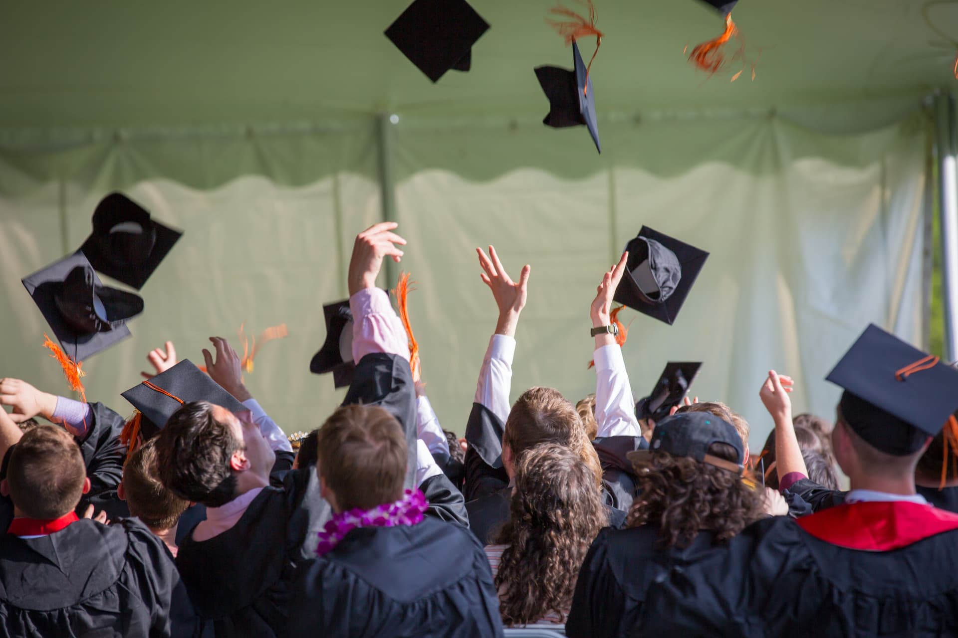 Graduates in academic gowns — the outcome of accredited education